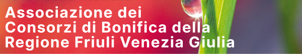 assoconsorzibonificafvg.it